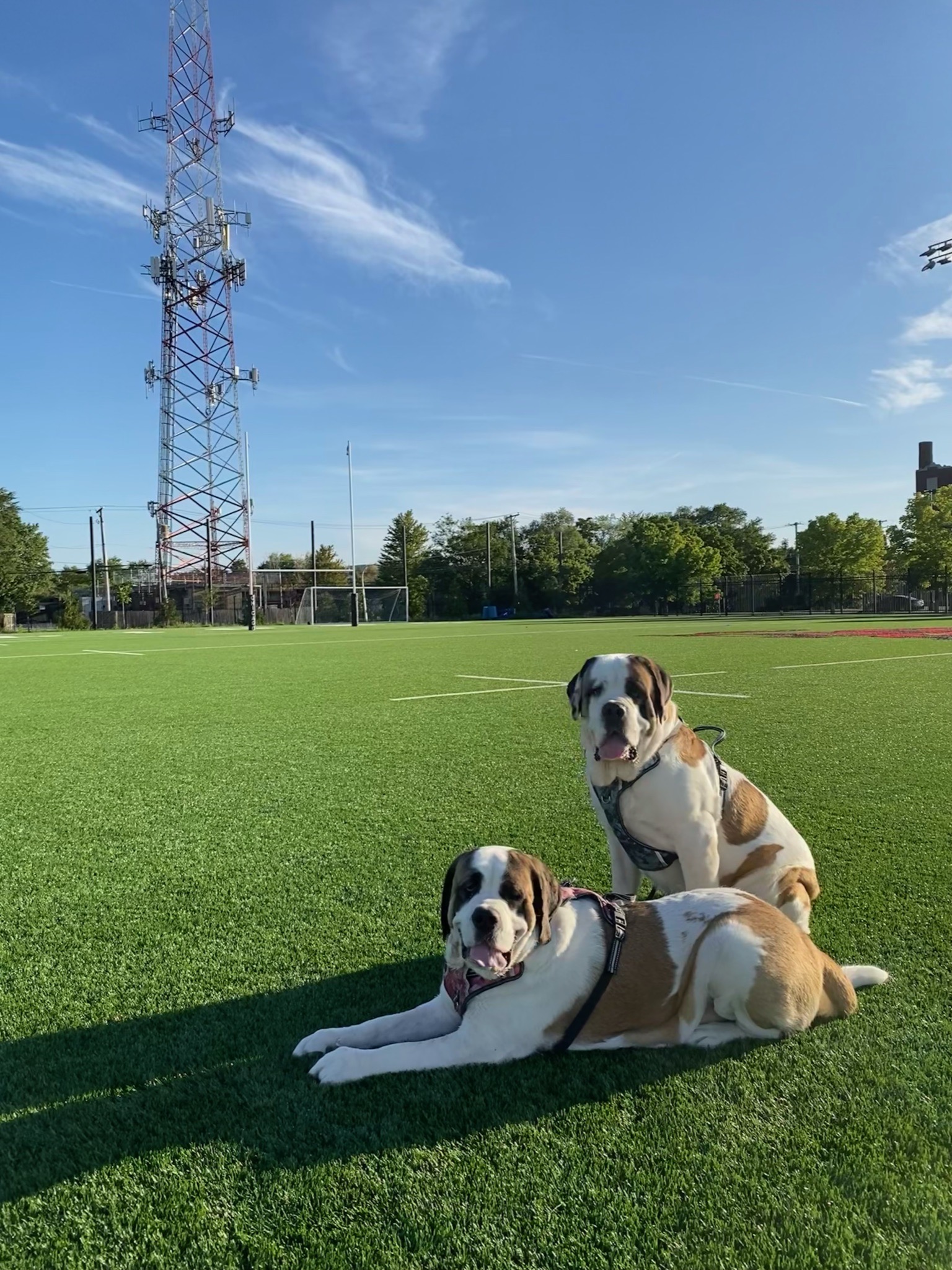 Herbert and Eleanor sitting on a rugby field