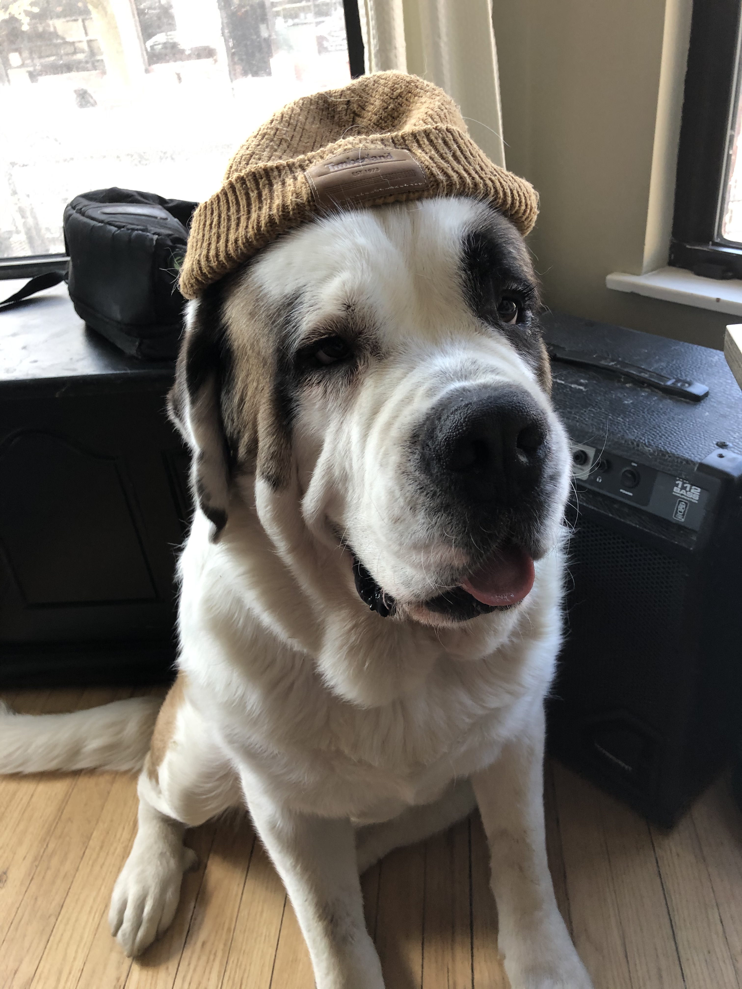 Herbert wearing a beanie