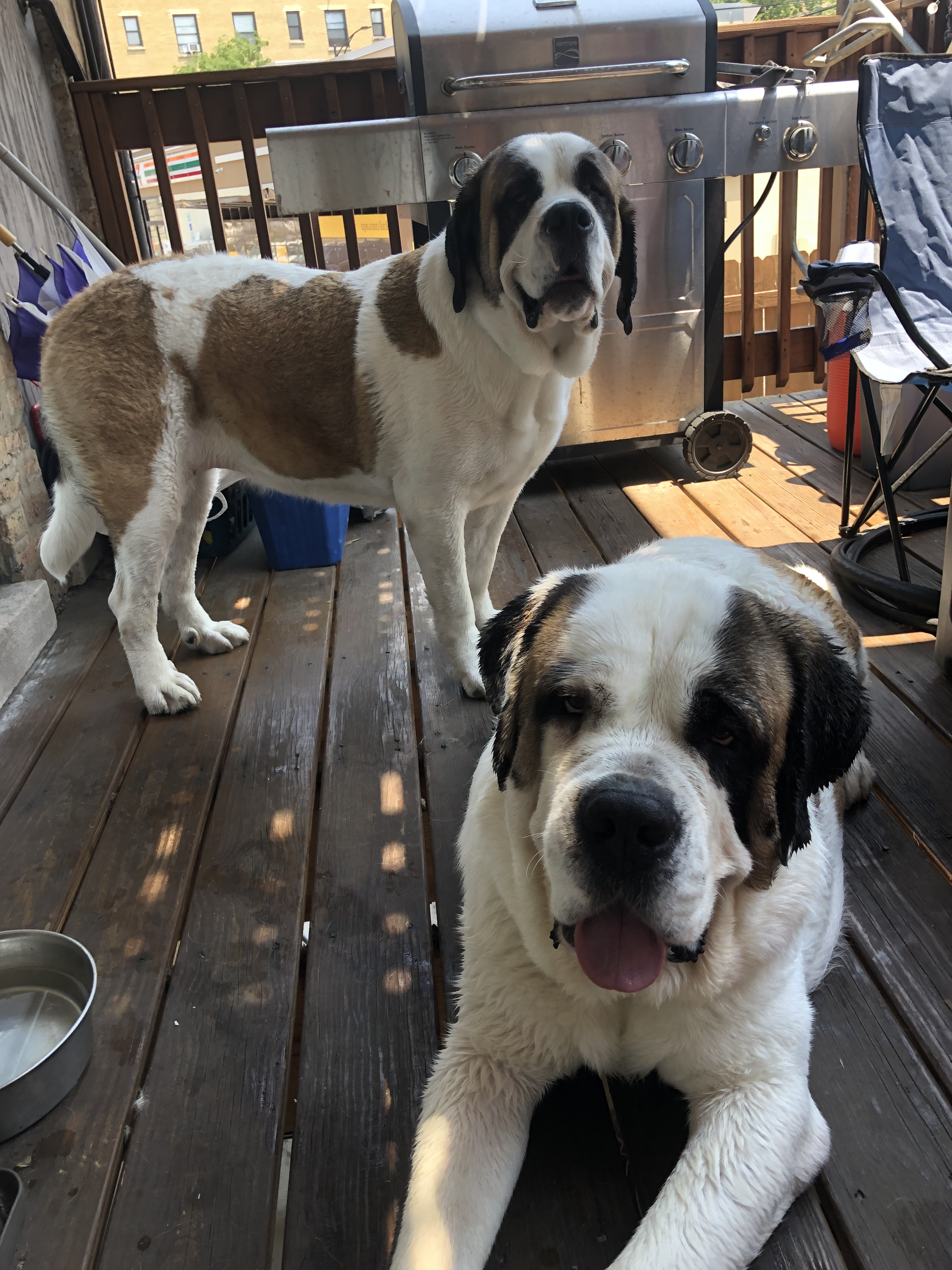 Eleanor and Herbert post-bath
